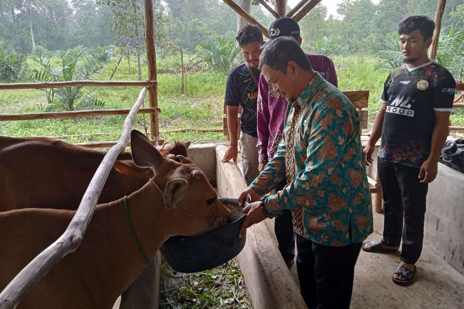 Gunakan Teknologi Probio FM, Upaya Peningkatan Sektor Peternakan di Bangka Tengah